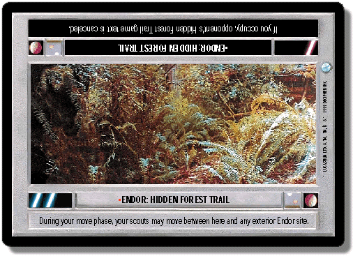 endor-hidden-forest-trail
