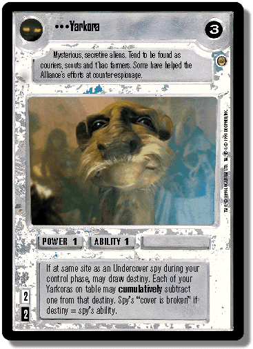 yarkora