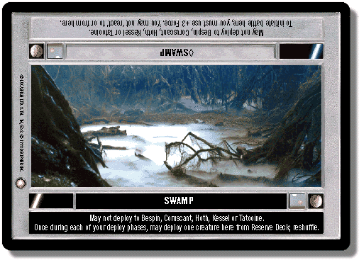 swamp