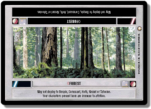 forest